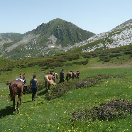 Agriturismo Bio-Ecologico Sant'Isidoro 로카포르테 몬도비 외부 사진