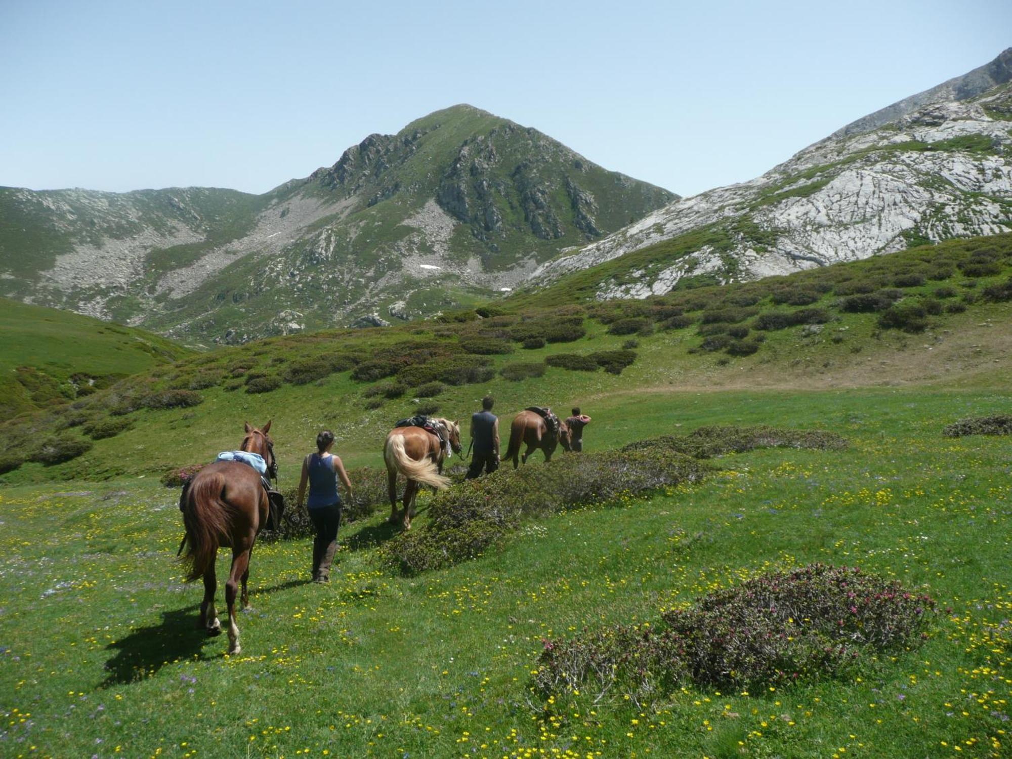 Agriturismo Bio-Ecologico Sant'Isidoro 로카포르테 몬도비 외부 사진