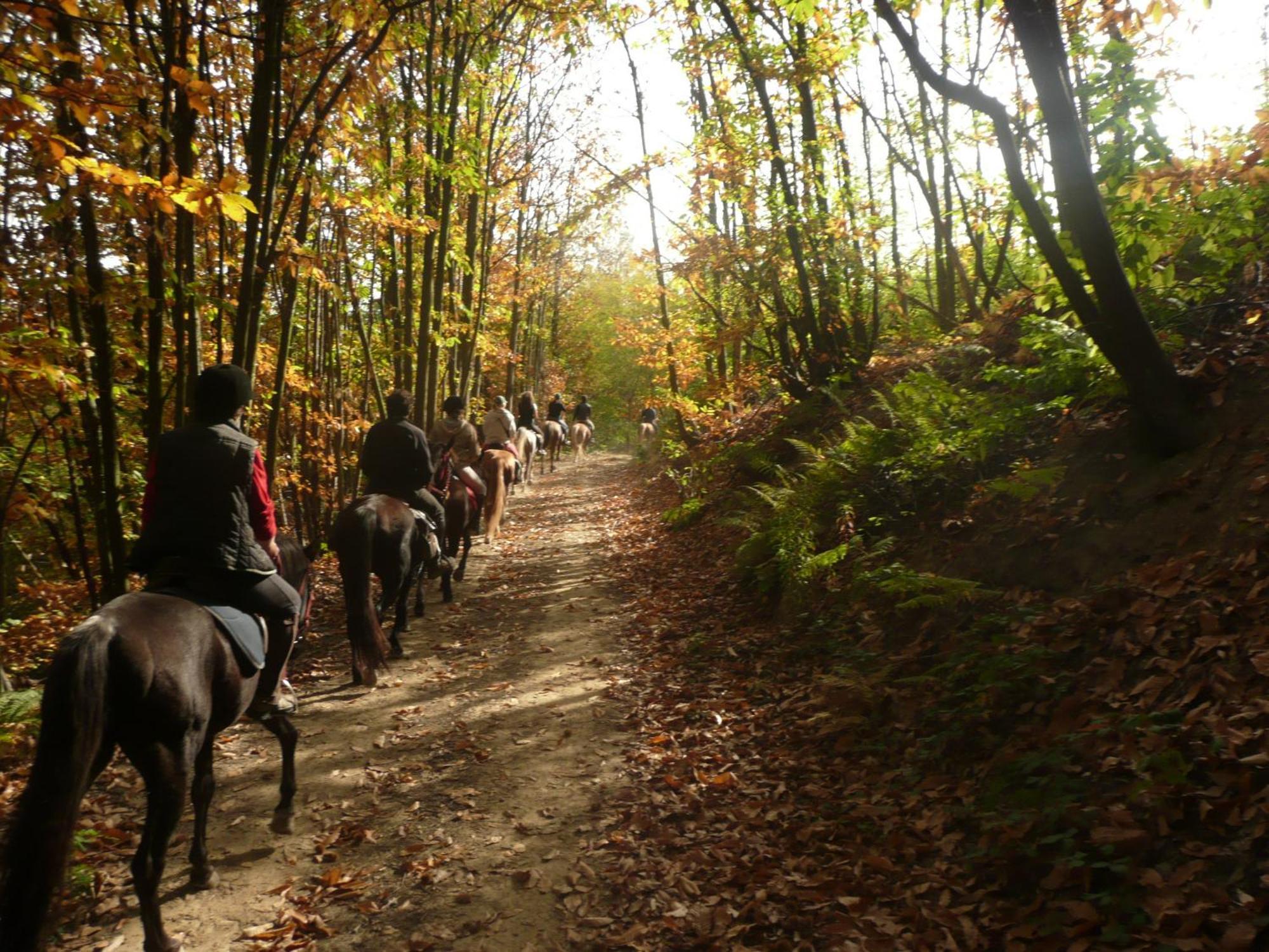 Agriturismo Bio-Ecologico Sant'Isidoro 로카포르테 몬도비 외부 사진