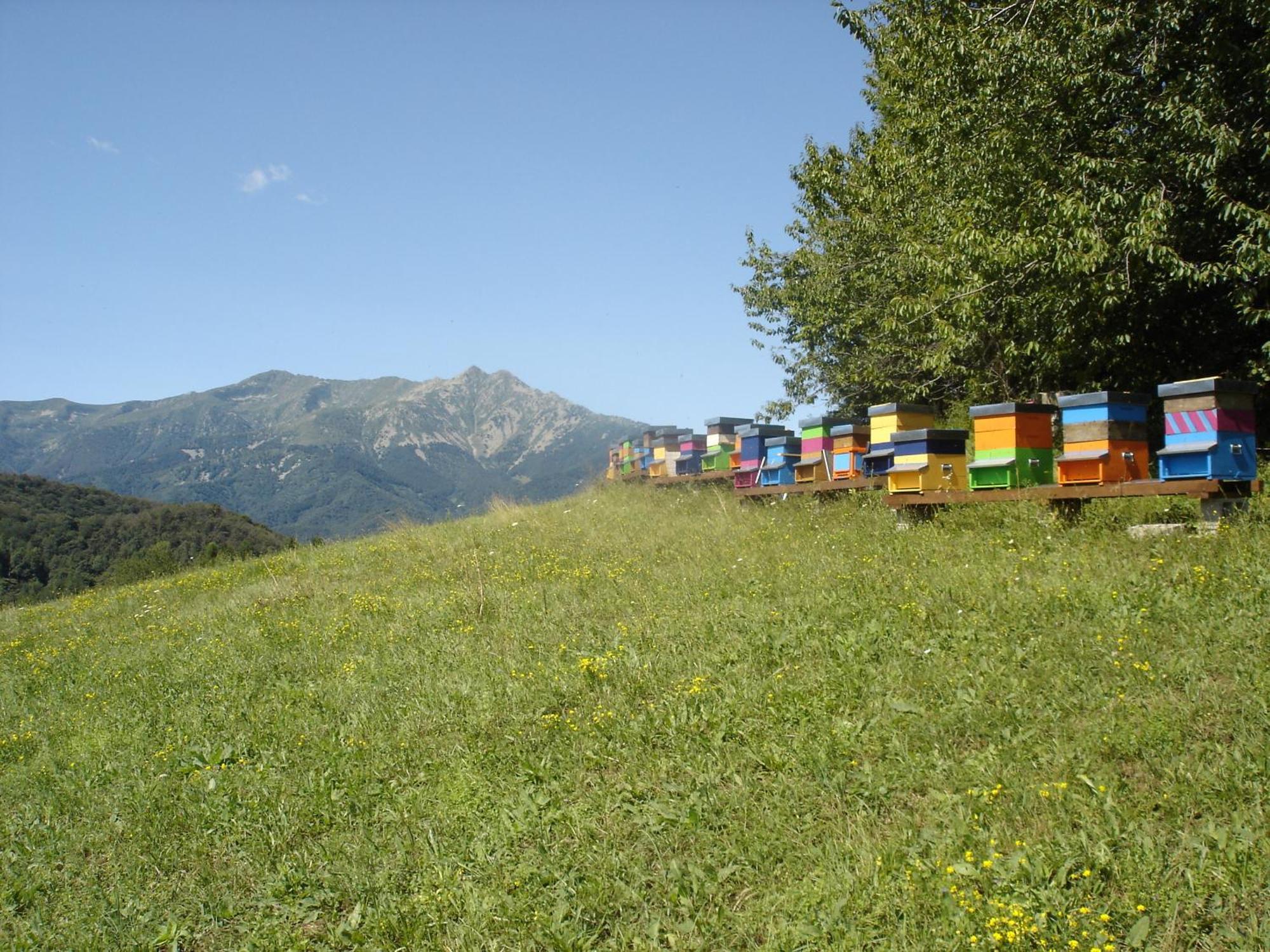Agriturismo Bio-Ecologico Sant'Isidoro 로카포르테 몬도비 외부 사진