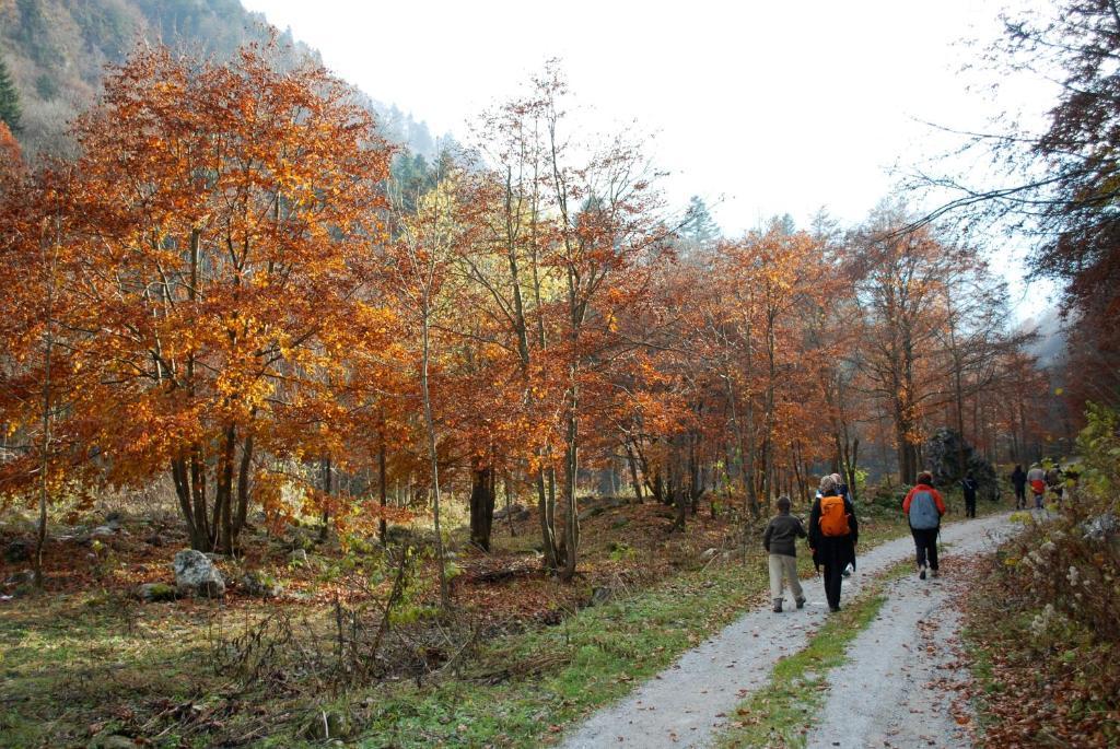 Agriturismo Bio-Ecologico Sant'Isidoro 로카포르테 몬도비 외부 사진