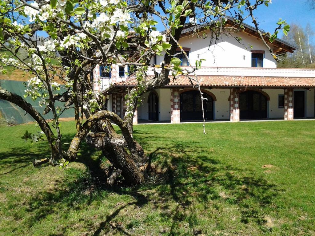 Agriturismo Bio-Ecologico Sant'Isidoro 로카포르테 몬도비 외부 사진