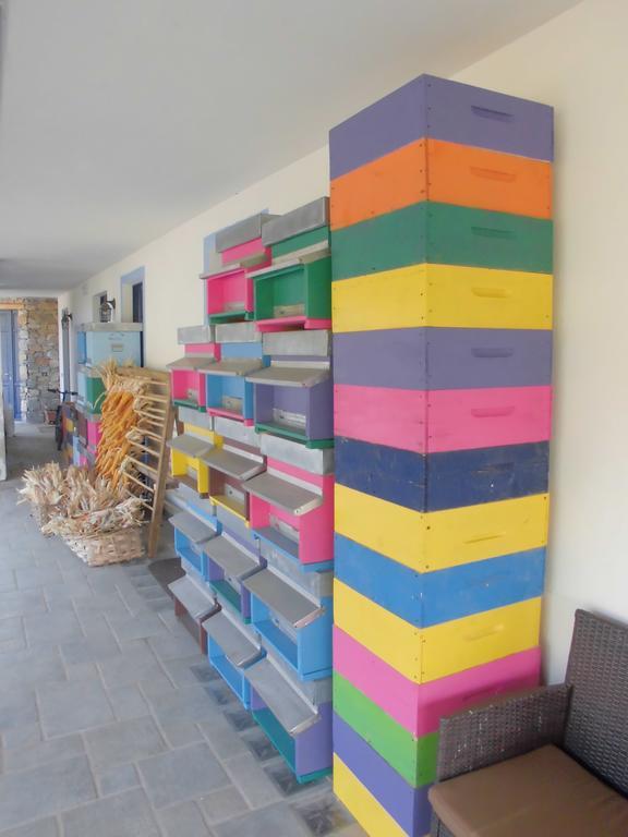 Agriturismo Bio-Ecologico Sant'Isidoro 로카포르테 몬도비 외부 사진