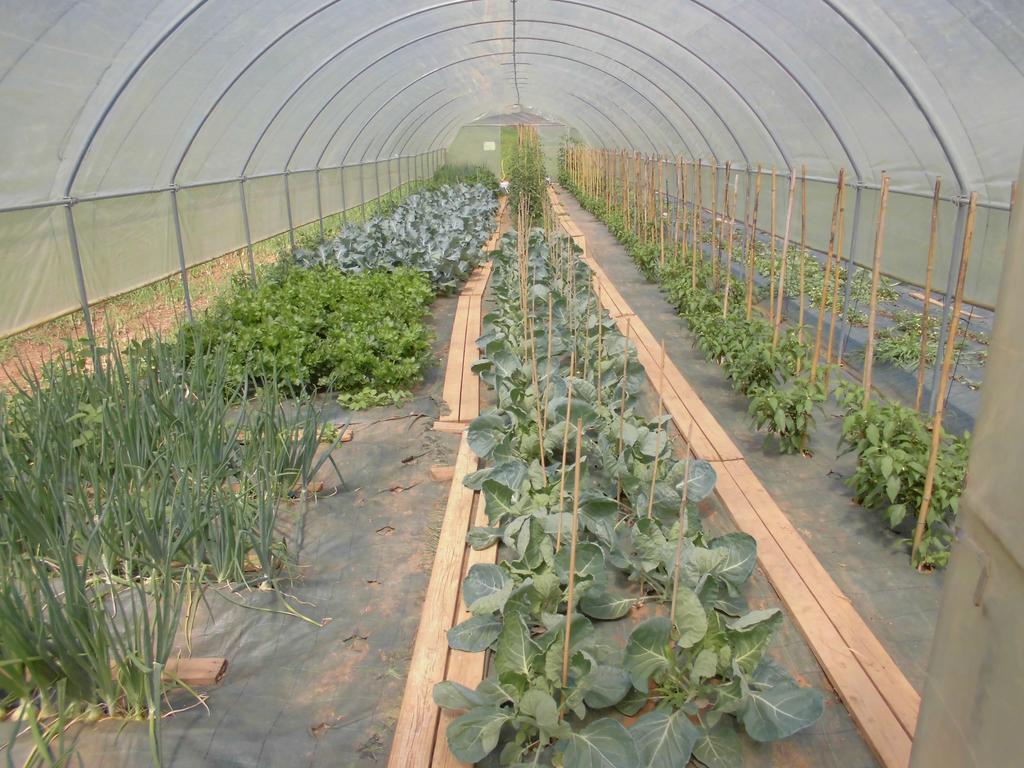 Agriturismo Bio-Ecologico Sant'Isidoro 로카포르테 몬도비 외부 사진